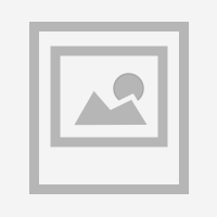 Диплом Соколов А.С. 2024