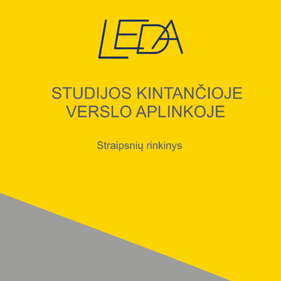 Studijos_kintancioje_verslo_aplinkoje_2025